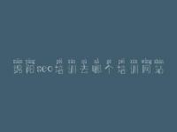 绵阳seo培训去哪个培训网站 县网站建设