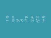 三亚seo知识培训 网站建设方法