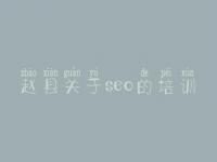 赵县关于seo的培训，什么是网站的优化