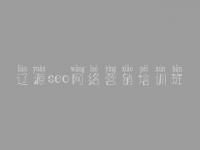 辽源seo网络营销培训班 seo新手入门教程