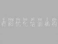 资阳优化培训机构_网站怎么建设