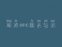 顺德seo服务培训 seo优化网站