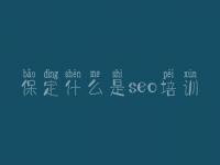 保定什么是seo培训 网站建设要求