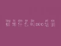 蚌埠什么叫seo培训，西城区网站建设