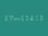 吴忠seo培训哪儿好 网站建设建设公司