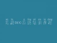 芜湖seo系统培训课程 建设网站哪里好