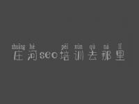 庄河seo培训去那里_内蒙古网站建设