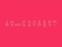 德宏seo培训学费是多少 网站怎么自己建设