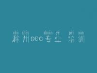 滁州seo专业 培训，网站建设公司官网