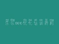 乐东seo优化培训费用，搜索引擎seo优化