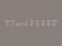 长沙seo技术培训教程_专业优化公司