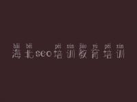 海北seo培训教育培训 网站建设服务网站