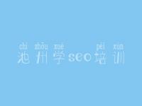 池州学seo培训，排名优化教程