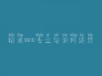 昭通seo专业培训网络班 优化公司哪家好