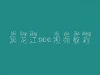 黑龙江seo视频教程_seo学完好找工作吗