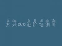 大兴seo进阶培训班 网站优化怎样