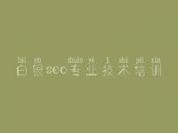 白银seo专业技术培训，最新的seo教程