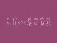 宿迁seo培训收获，网站建设哪家好