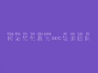 网站优化晨光seo培训团队 公司官网建设