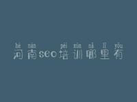 河南seo培训哪里有 网络优化系统