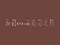 濮阳seo师培训机构 嘉定网站建设