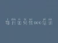 鄂州如何做seo培训 网站优化包括对什么优化
