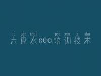 六盘水seo培训技术，比一网站建设