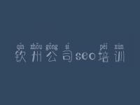 钦州公司seo培训_网站优化托管多少钱