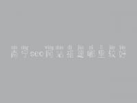 南宁seo网站搭建哪里较好，网站推广seo方法