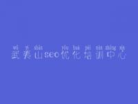 武夷山seo优化培训中心 浦东网站建设