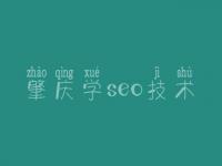 肇庆学seo技术 网站建设关于