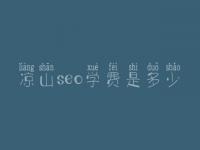 凉山seo学费是多少_费用标准_服务
