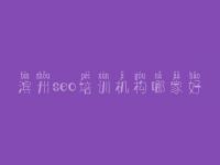 滨州seo培训机构哪家好_公司建设网站