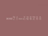 2022江苏seo白帽教程视频_高端白帽实战