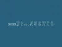 2022周口seo白帽教程视频_一流白帽实战