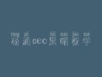 杨浦seo黑帽教学_精品黑帽实战