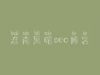 淮南黑帽seo博客_怎么样做网络优化