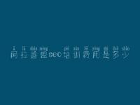 阿拉善盟seo培训费用是多少，怎么优化自己网站
