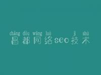 昌都网络seo技术_网站建设介绍