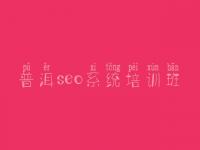 普洱seo系统培训班_平台网站优化方案