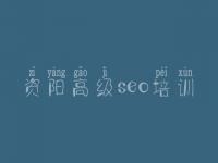 资阳高级seo培训 适合优化的网站