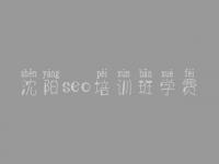 沈阳seo培训班学费_关键词排名优化