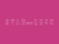 南宁系统seo培训学校 怎样建设网站