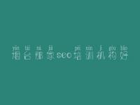 烟台那家seo培训机构好 那个网站建设