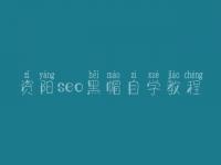 资阳seo黑帽自学教程_一流黑帽实战
