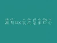 潮州seo实战培训中心_seo初学者教程