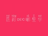 岳阳seo哪里学_地址_联系方式