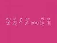 巢湖个人seo培训，怎样优化网站排名