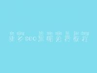 新乡seo黑帽免费教程_高端黑帽实战