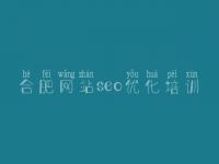 合肥网站seo优化培训，网站优化步骤